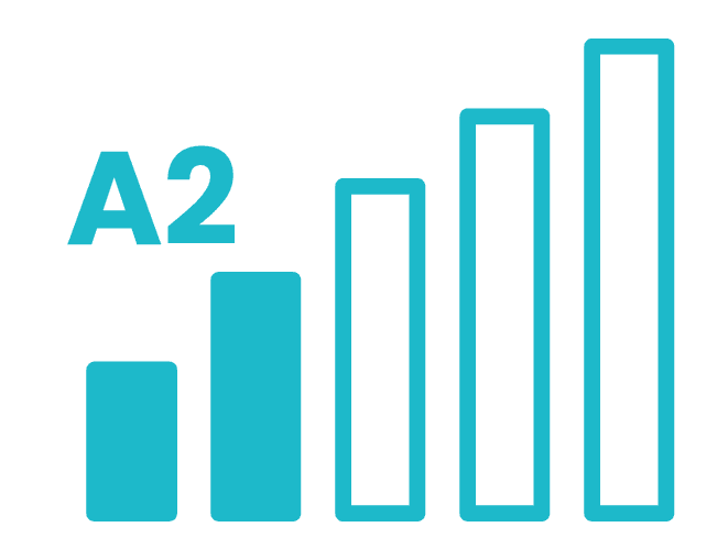 A2 Temel Seviye