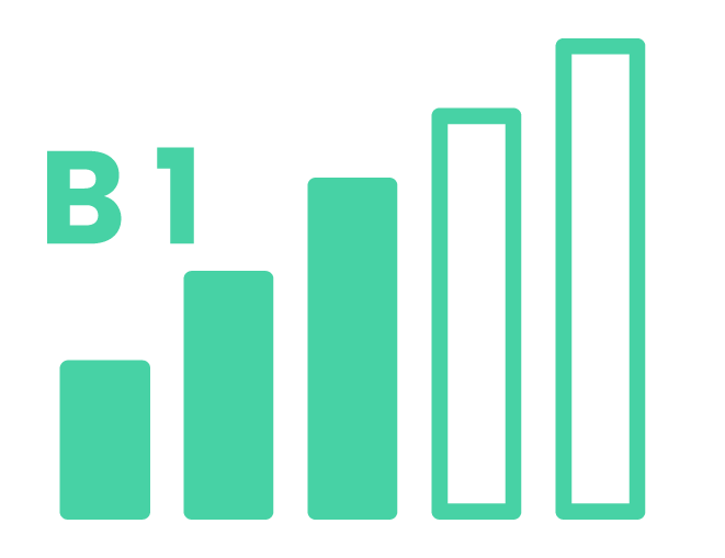 B1 Orta Seviye