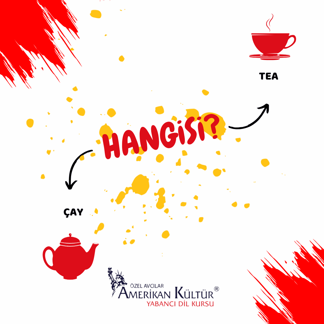Türkçe ve İngilizce Arasındaki Farklar: Kapsamlı Bir Karşılaştırma Rehberi 6 Türkçe ve İngilizce arasındaki farklar
